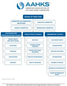 council and committee structure