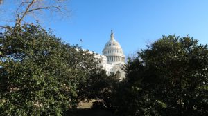 US Capitol